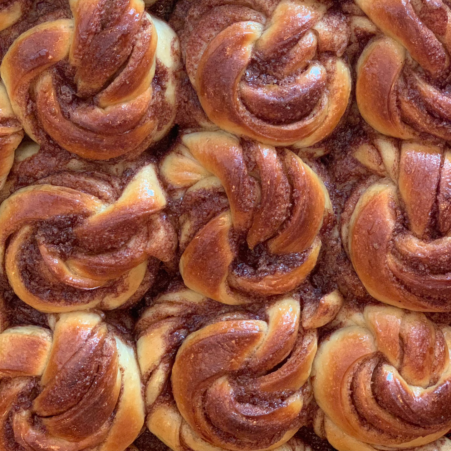Sweet Brioche Buns