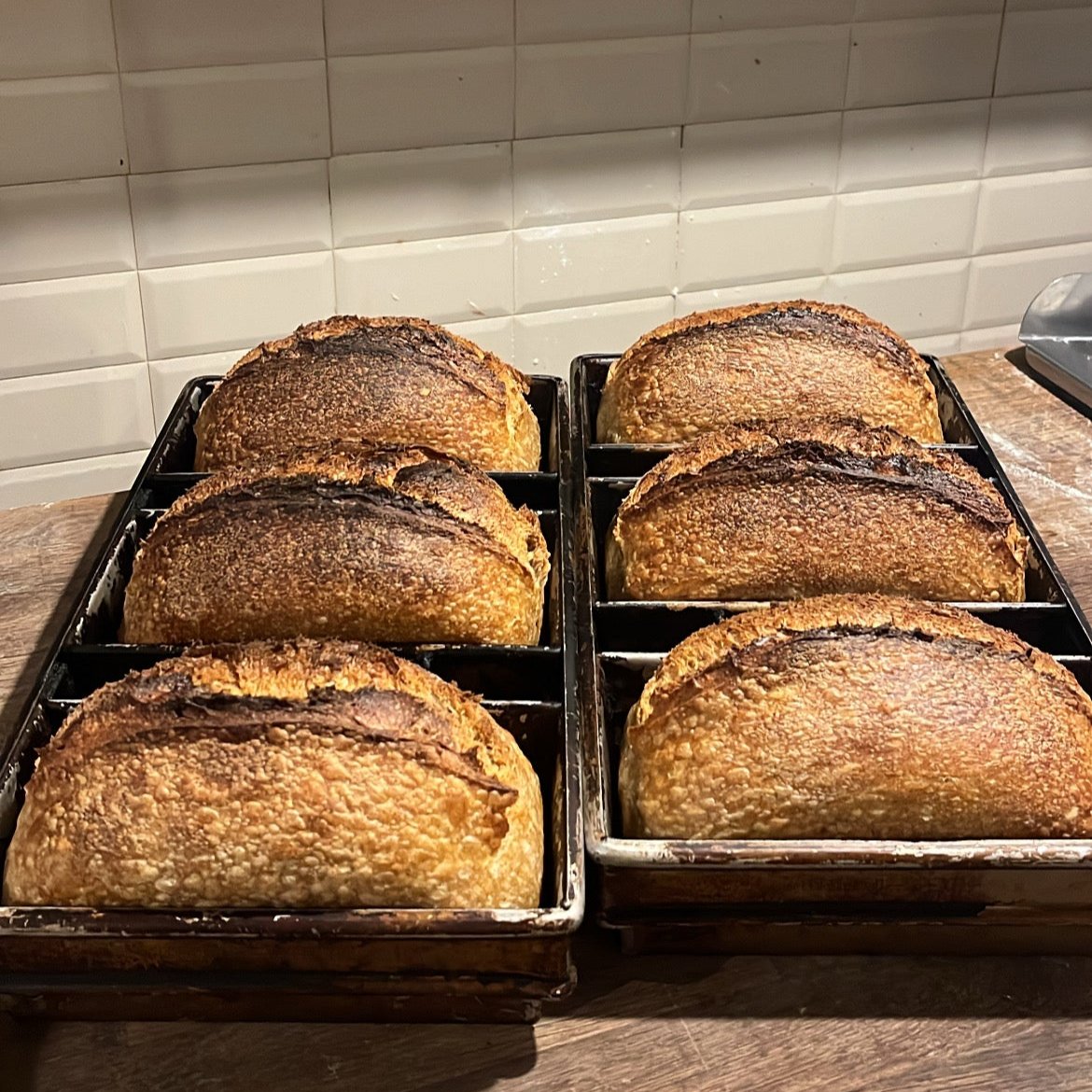 Sourdough - Loaf